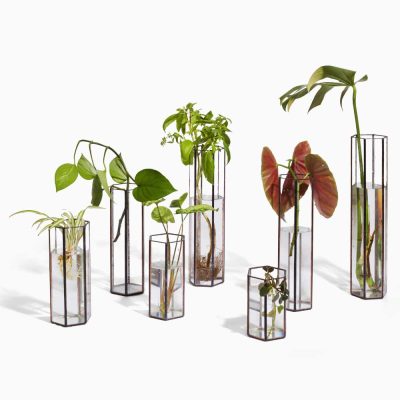 Anea-Propagation-Kit-Black.jpg